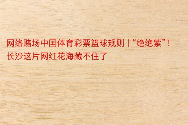 网络赌场中国体育彩票篮球规则 | “绝绝紫”！长沙这片网红花海藏不住了