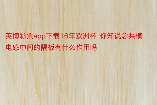 英博彩票app下载16年欧洲杯_你知说念共模电感中间的隔板有什么作用吗